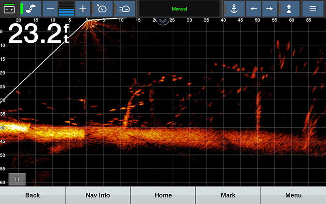 Integrated Sonar