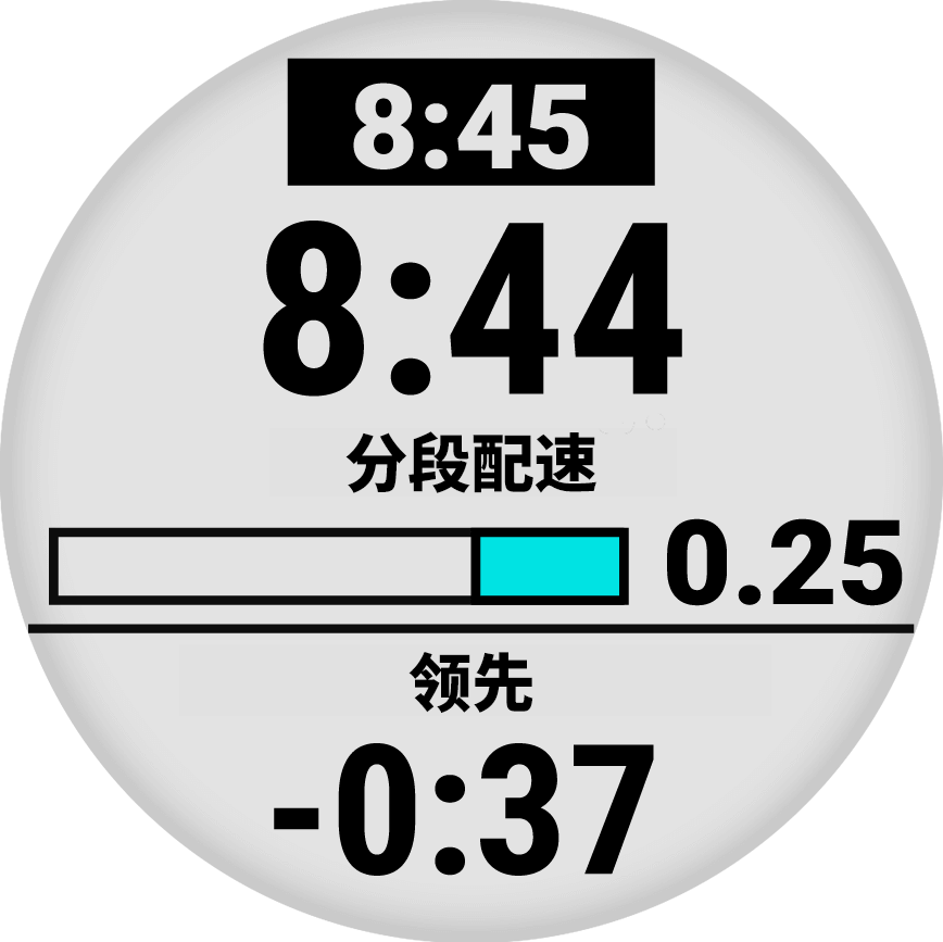 Forerunner 158 表盘