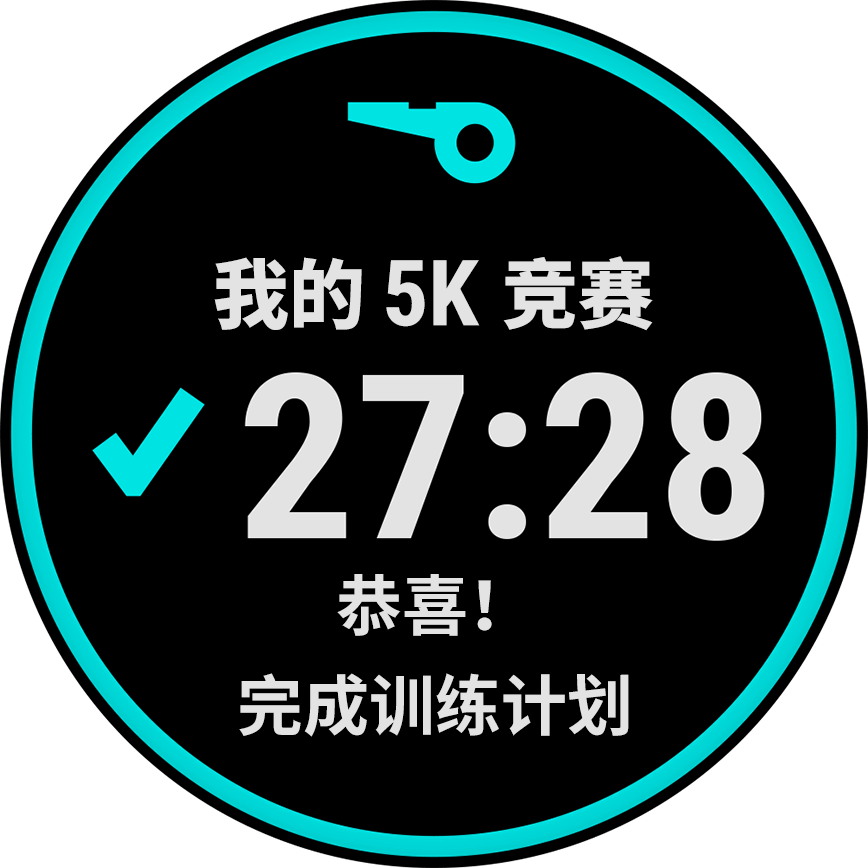 Forerunner 158 表盘