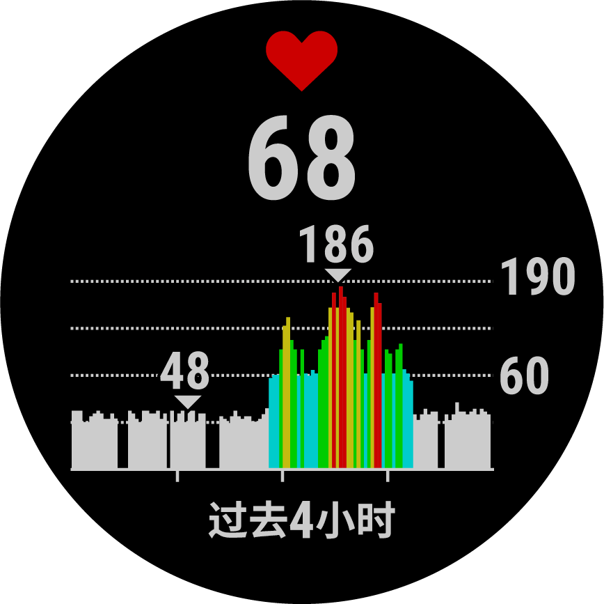 Forerunner 158 表盘